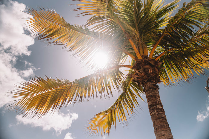 The Dangers of Being Overexposed to UV Radiation